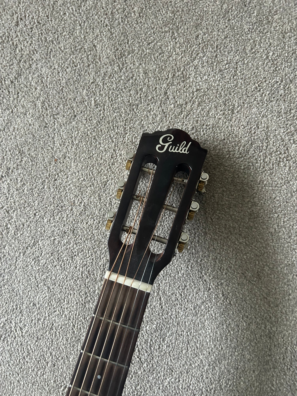 Guild Westerly Collection P-240 Memoir Natural