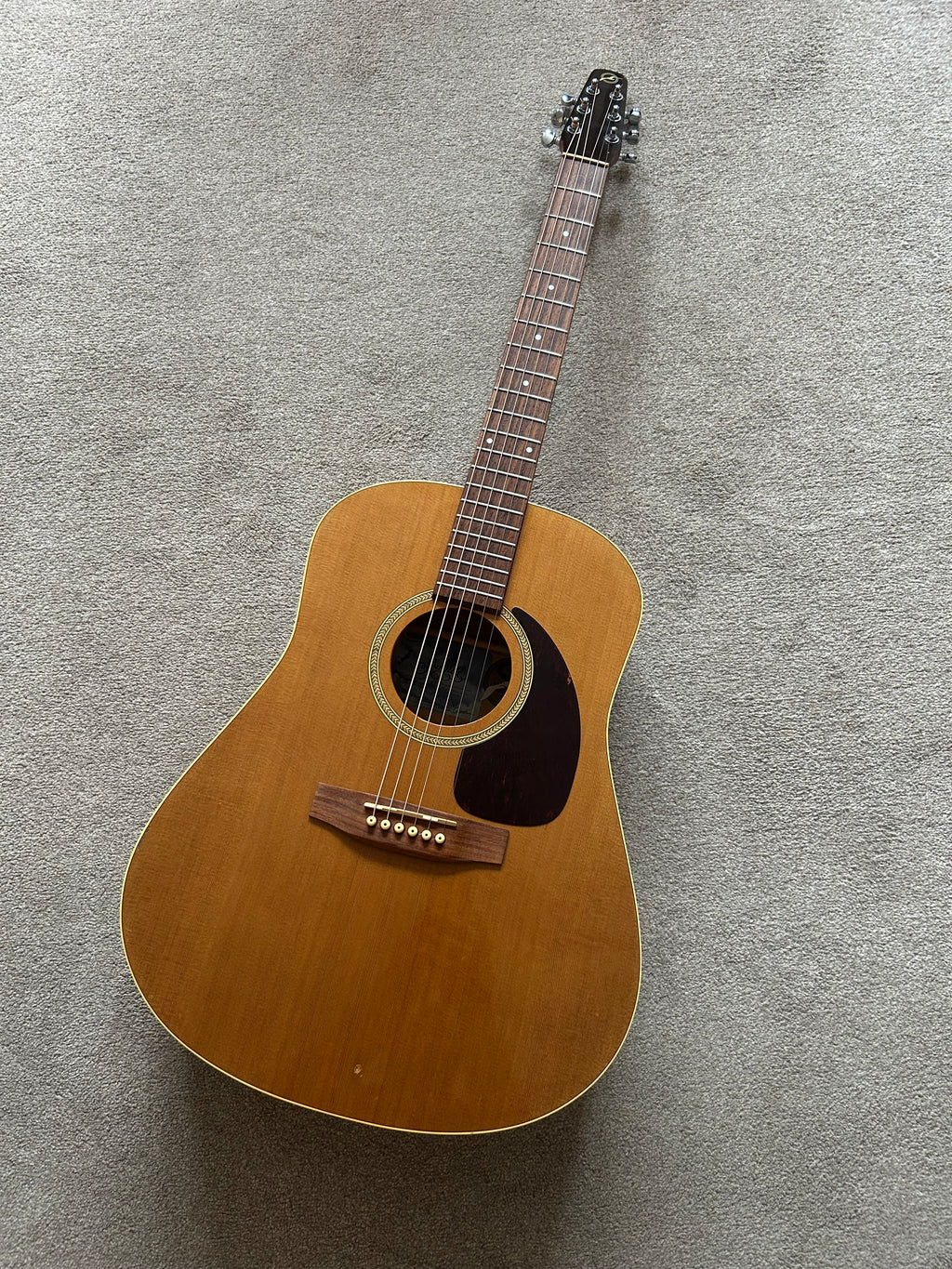 Seagull S6 Cedar GT