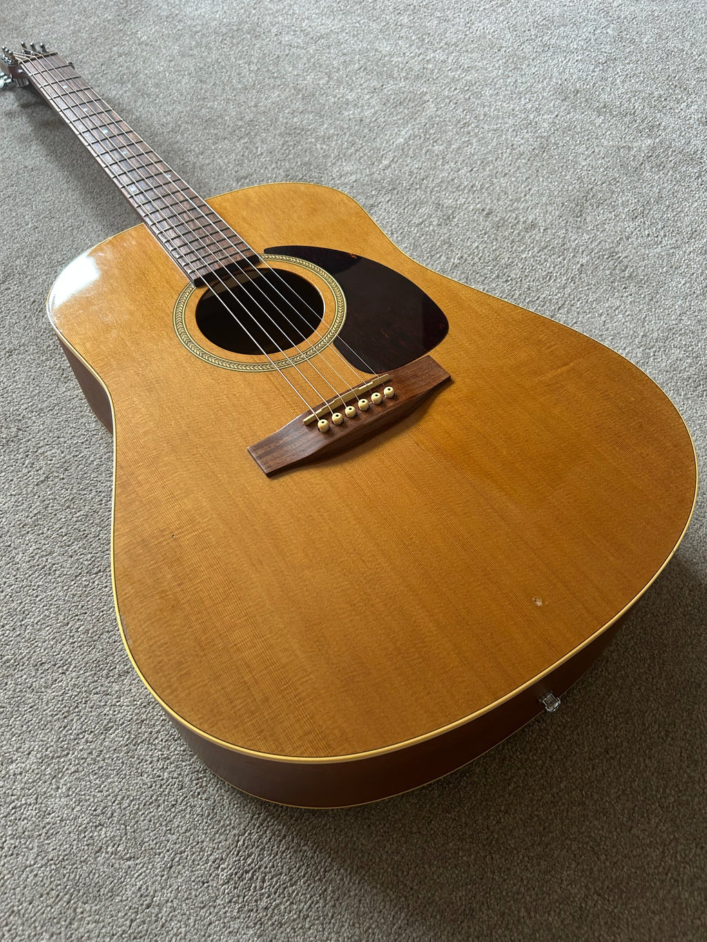 Seagull S6 Cedar GT