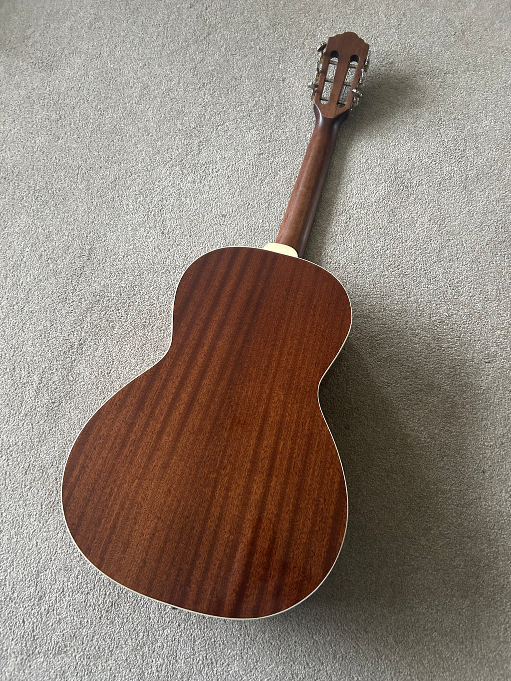 Guild Westerly Collection P-240 Memoir Natural