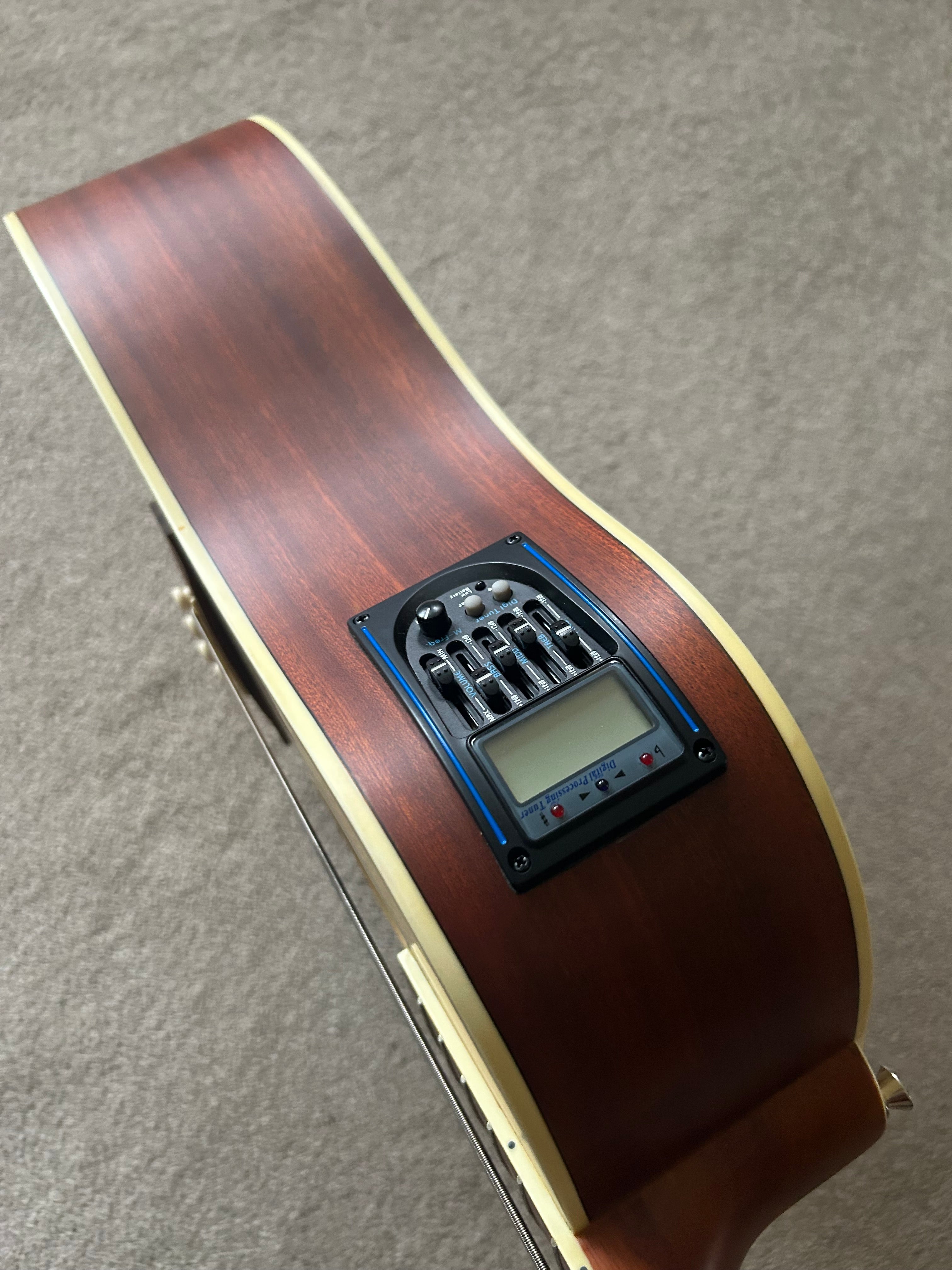 Ashton Acoustic Bass Guitar